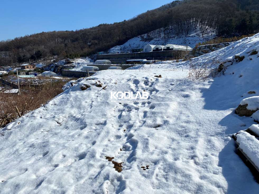 경기 양평군 용문면 덕촌리 계단식 토목 되어있는 토지, 산으로 둘러싸인 포근하고 조용한 위치의 토지 매매 매물번호 10940 사진 15