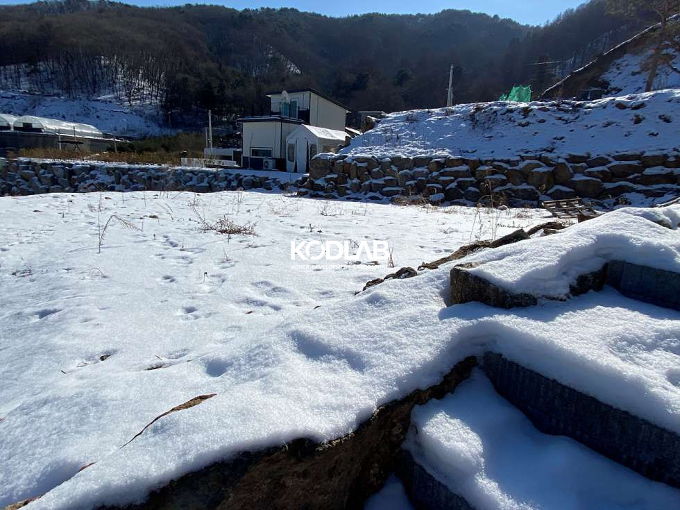 경기 양평군 용문면 덕촌리 계단식 토목 되어있는 토지, 산으로 둘러싸인 포근하고 조용한 위치의 토지 매매 매물번호 10940 사진 19