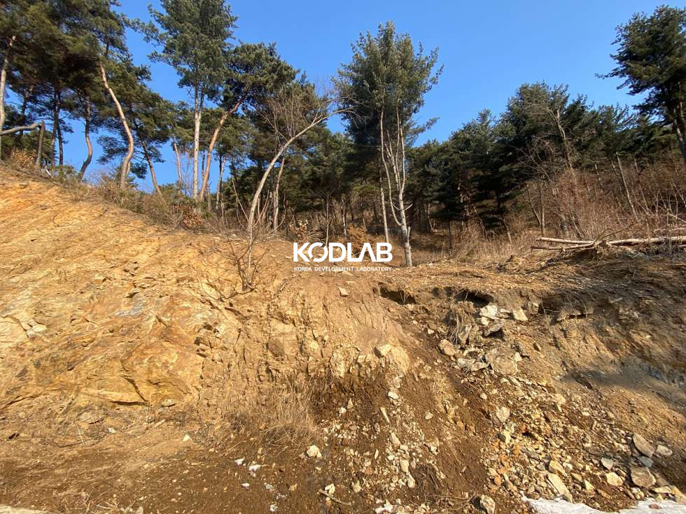 경기 양평군 용문면 삼성리 용문면 생활권 차량 5분, 위치좋은 주택단지 근처 임야 900평 매매 매물번호 10952 사진 1