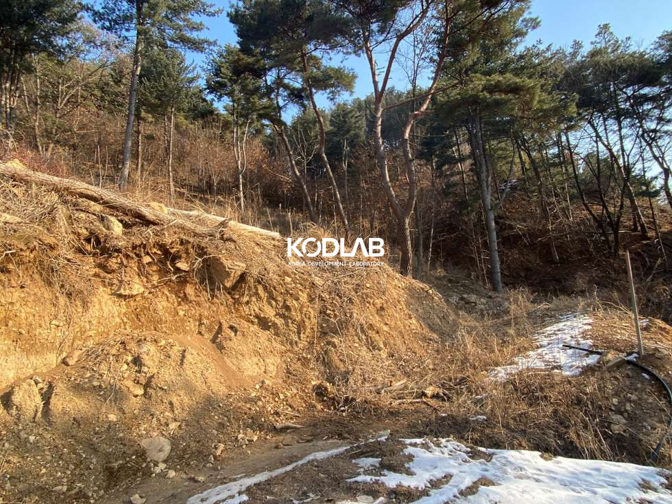 경기 양평군 용문면 삼성리 용문면 생활권 차량 5분, 위치좋은 주택단지 근처 임야 900평 매매 매물번호 10952 사진 7