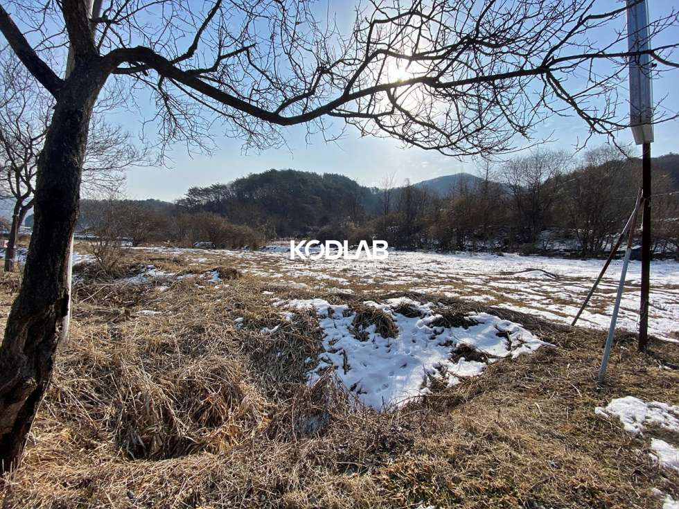경기 양평군 청운면 삼성리 도로 접해있는 평당 45만원, 청운면 토지 매매 매물번호 10989 사진 1