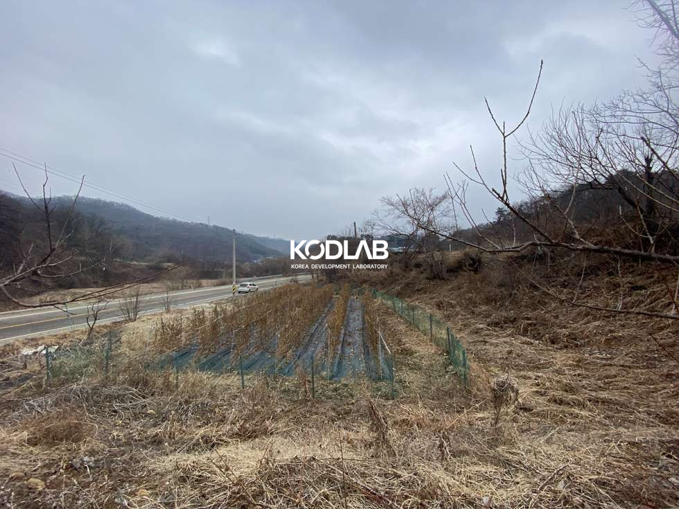 경기 양평군 지평면 수곡리 2차선 도로와 접해있는 평당 69만원 지평면 토지 매매 매물번호 11056 사진 11