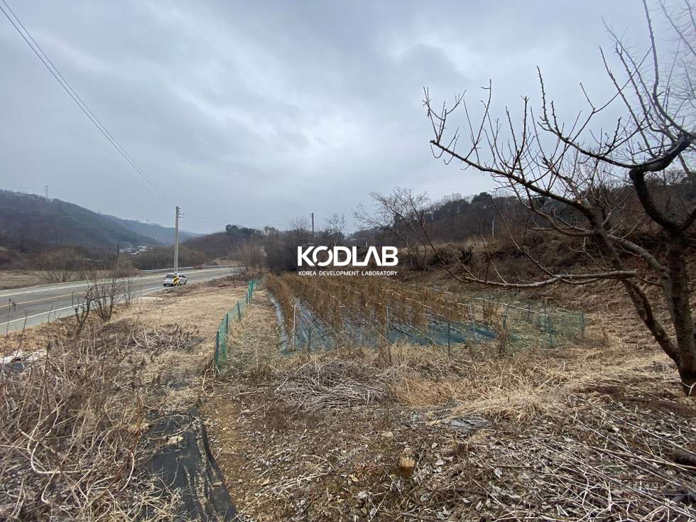 경기 양평군 지평면 수곡리 2차선 도로와 접해있는 평당 69만원 지평면 토지 매매 매물번호 11056 사진 13