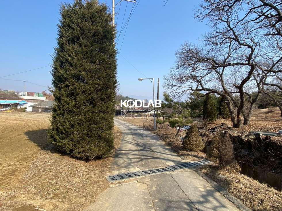 경기 양평군 강상면 화양리 강상면 2차선 도로 가까운 주택하나 있는 570평 토지 평당 110만원 매매 매물번호 11117 사진 22