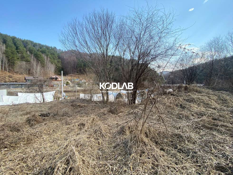 경기 양평군 단월면 산음리 단월면 평당 45만원 산으로 둘러싸인 토지 매매 매물번호 11220 사진 7