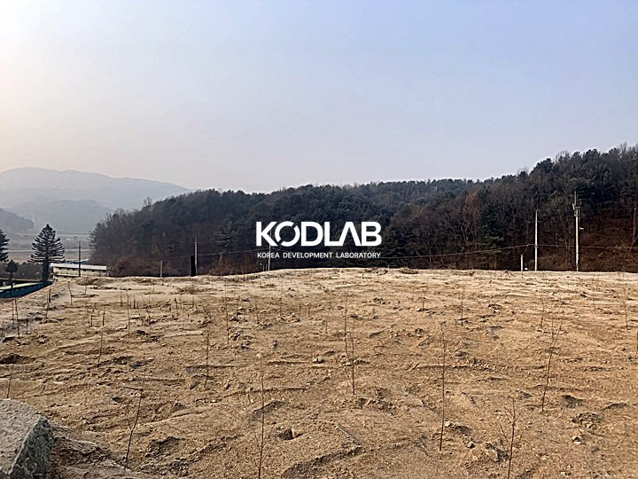 경기 양평군 양동면 삼산리 88번 지방도와 양동 시내가 가까운 토지 매매 매물번호 11270 사진 8