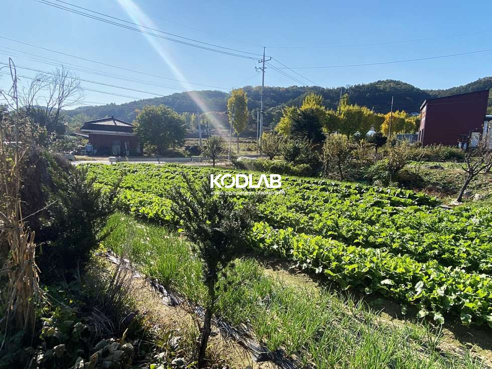 경기 양평군 강상면 화양리 화양리 남동향의 농사짓는 땅! 투자+주택지로도 적합 매매 매물번호 10753 사진 10