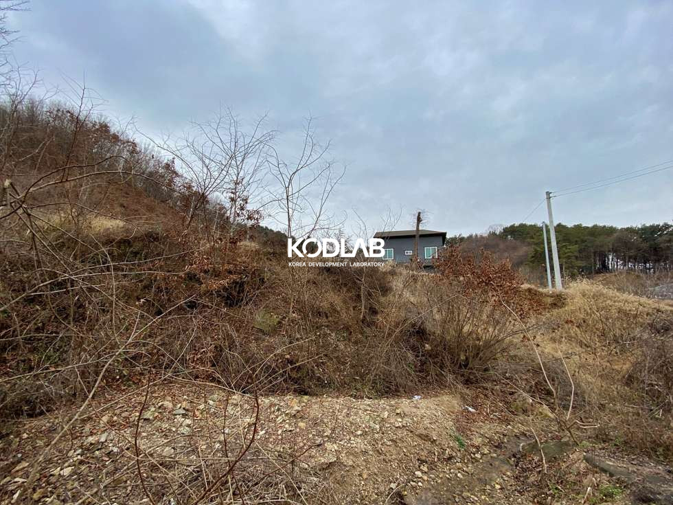경기 양평군 양서면 복포리 국수중 도보10분, 국수역 도보권 위치 좋은 장항형 토지 매매 매물번호 10736 사진 10