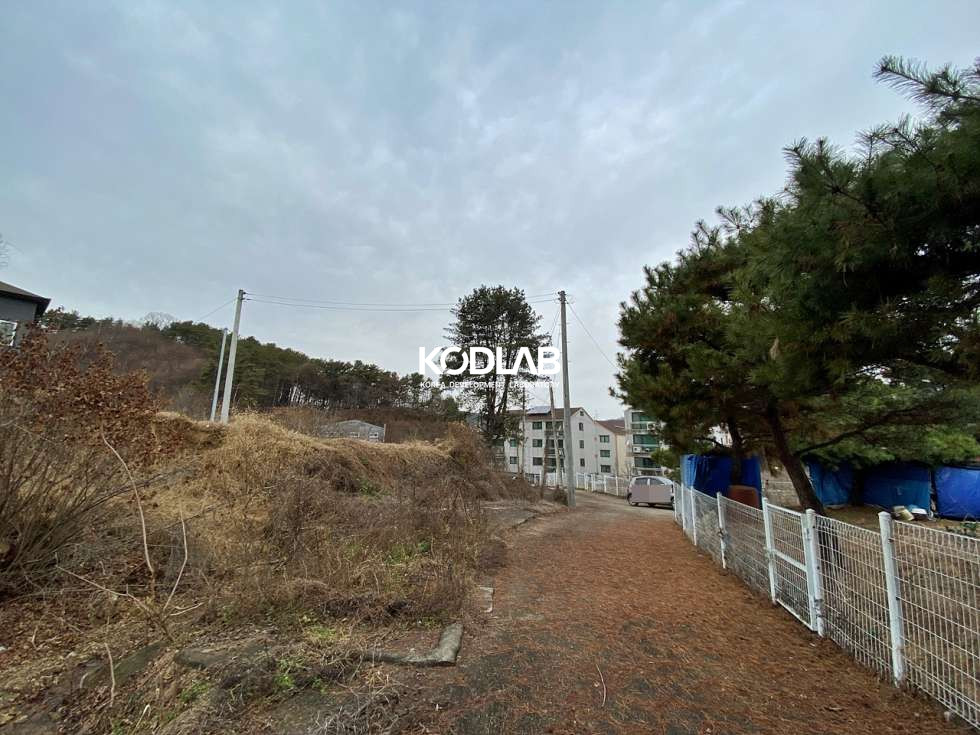 경기 양평군 양서면 복포리 국수중 도보10분, 국수역 도보권 위치 좋은 장항형 토지 매매 매물번호 10736 사진 11