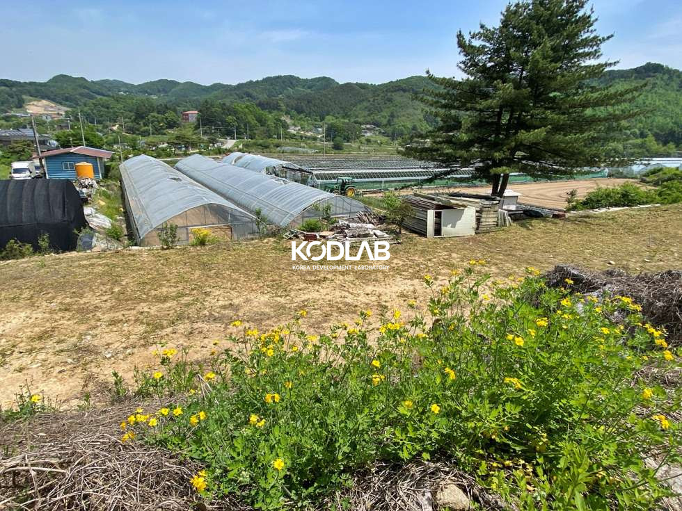 경기 양평군 지평면 무왕리 지평면 무왕리 평당 74만원 토지 농가주택 포함해서 1억대 매매 매물번호 11509 사진 8