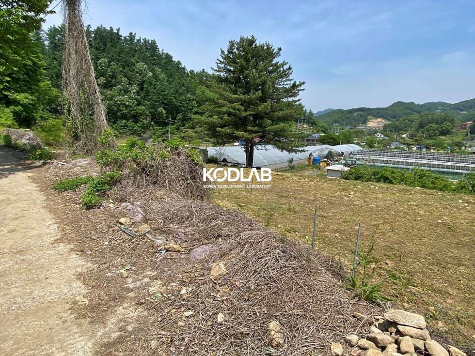 경기 양평군 지평면 무왕리 지평면 무왕리 평당 74만원 토지 농가주택 포함해서 1억대 매매 매물번호 11509 사진 13