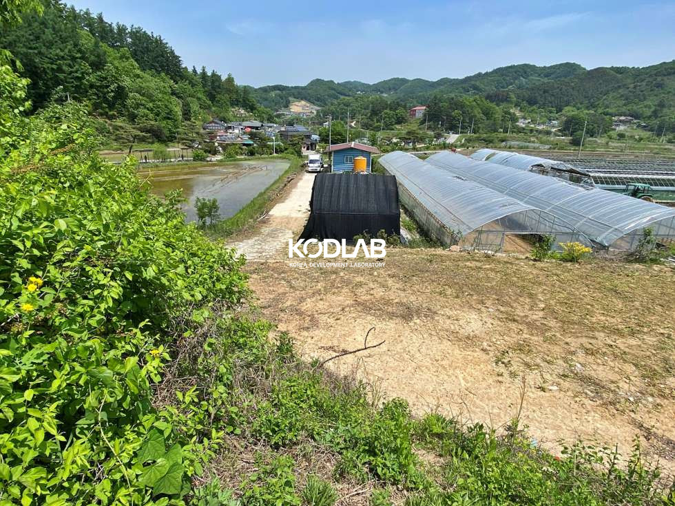 경기 양평군 지평면 무왕리 지평면 무왕리 평당 74만원 토지 농가주택 포함해서 1억대 매매 매물번호 11509 사진 18