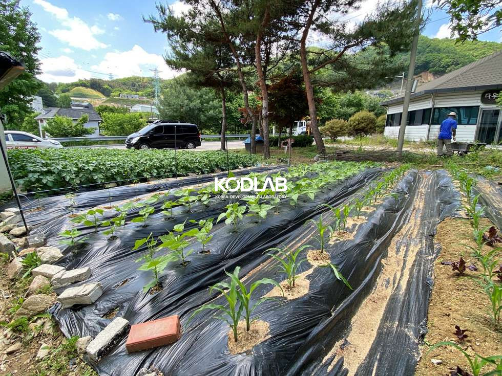 경기 남양주시 조안면 삼봉리 도시가스 연결이 가능한 상가주택, 1층은 현재 중국집 2층은 주택 매매 매물번호 11532 사진 12