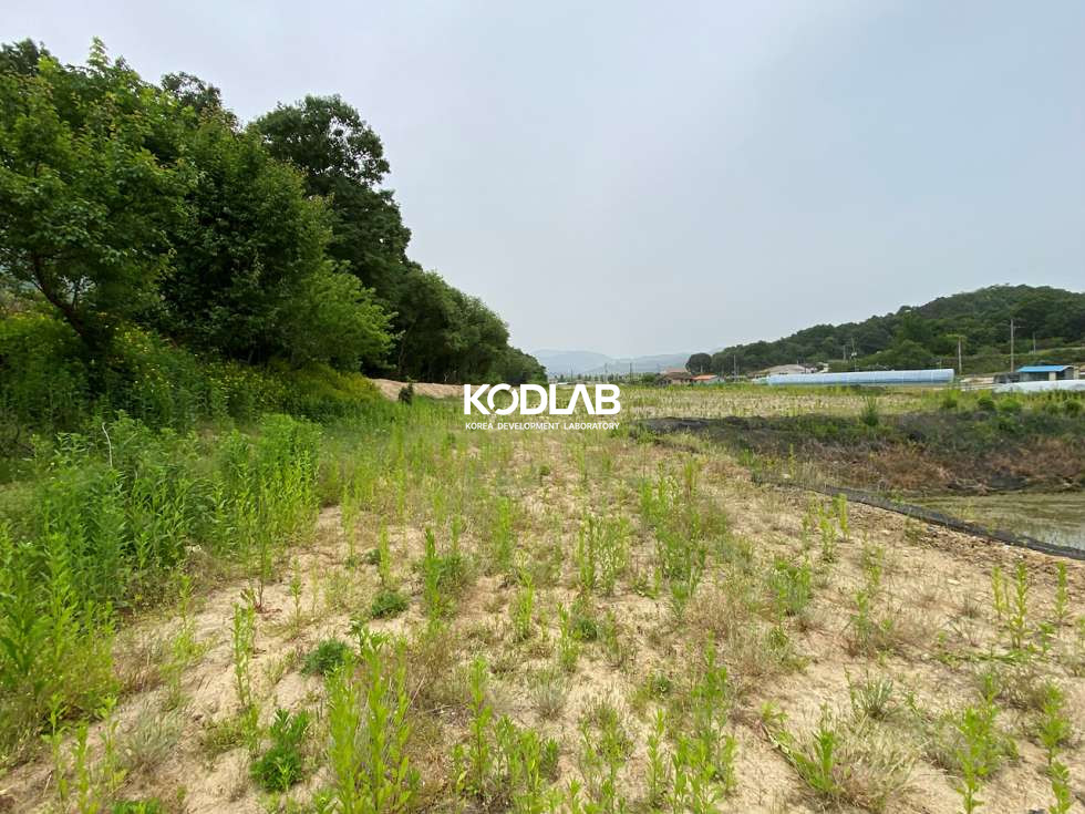 경기 여주시 대신면 당남리 대신IC 차량 4분거리 위치한 평지 위치한 토지 매매 매물번호 11542 사진 1
