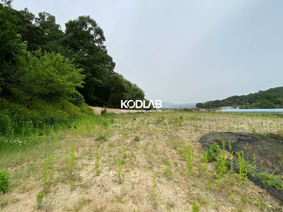 경기 여주시 대신면 당남리 대신IC 차량 4분거리 위치한 평지 위치한 토지 매매 매물번호 11542 사진 3