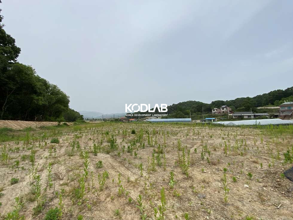 경기 여주시 대신면 당남리 대신IC 차량 4분거리 위치한 평지 위치한 토지 매매 매물번호 11542 사진 4