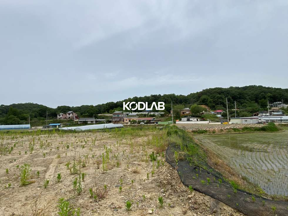 경기 여주시 대신면 당남리 대신IC 차량 4분거리 위치한 평지 위치한 토지 매매 매물번호 11542 사진 5