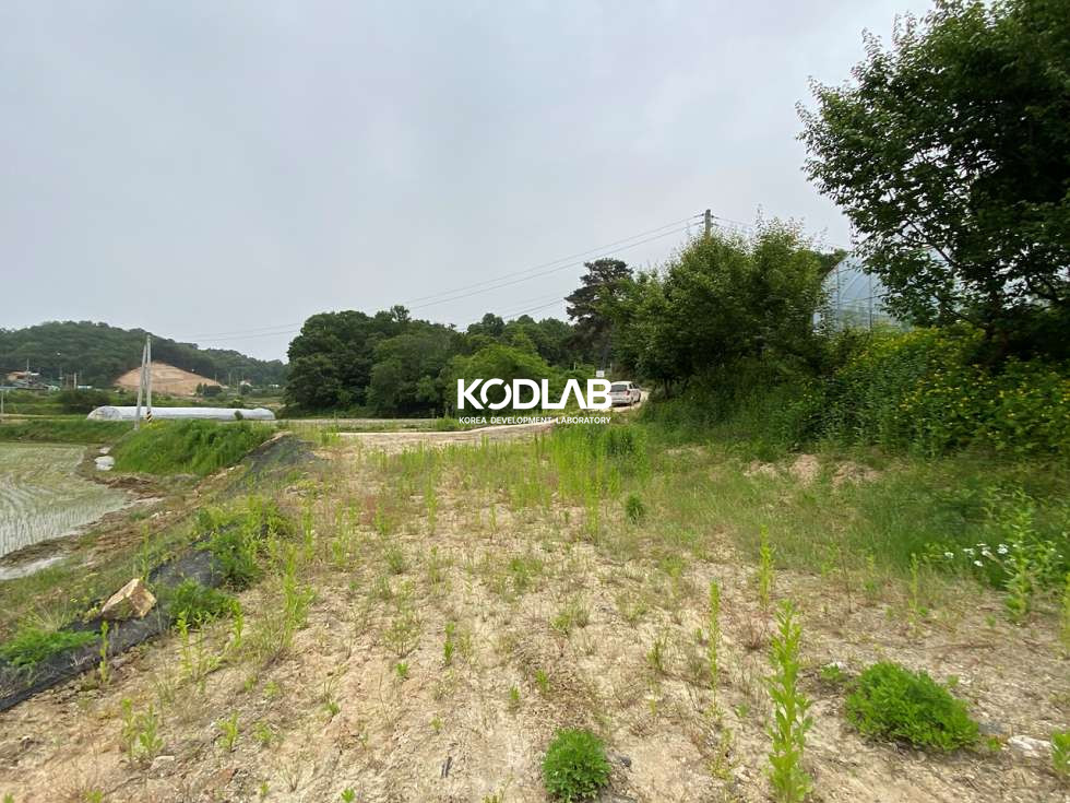 경기 여주시 대신면 당남리 대신IC 차량 4분거리 위치한 평지 위치한 토지 매매 매물번호 11542 사진 6