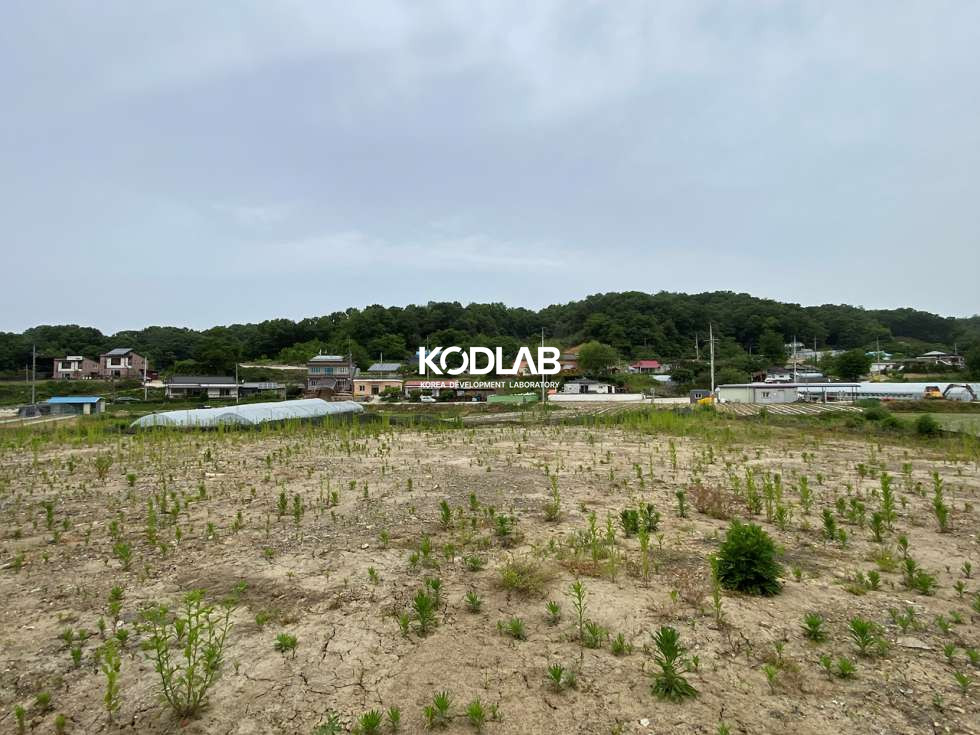경기 여주시 대신면 당남리 대신IC 차량 4분거리 위치한 평지 위치한 토지 매매 매물번호 11542 사진 8