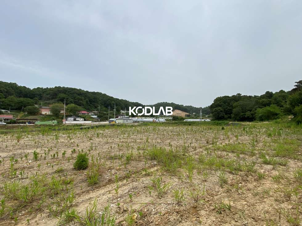경기 여주시 대신면 당남리 대신IC 차량 4분거리 위치한 평지 위치한 토지 매매 매물번호 11542 사진 12