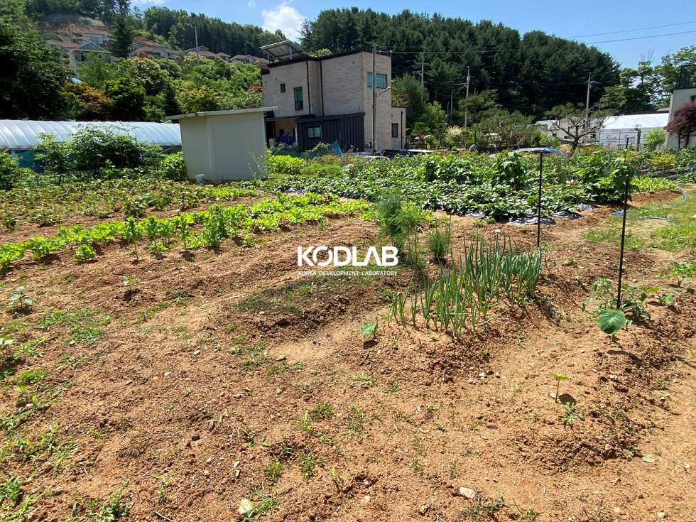 경기 양평군 양서면 증동리 평당 155만원, 양서면 증동리 토지, 토목 되어있는 전기인입지역 매매 매물번호 11616 사진 6