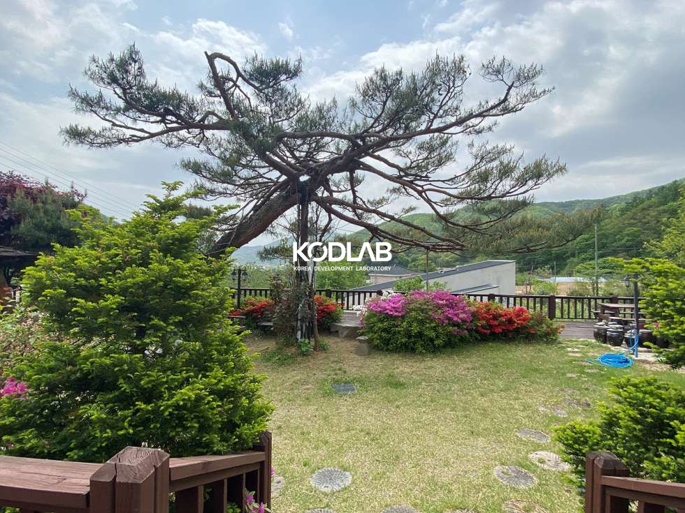 경기 양평군 용문면 연수리 넓은 마당과 높은 층고, 목재의 조화로 고급스러운 분위기가 느껴지는 용문면 전원주택 매매 매물번호 11325 사진 9