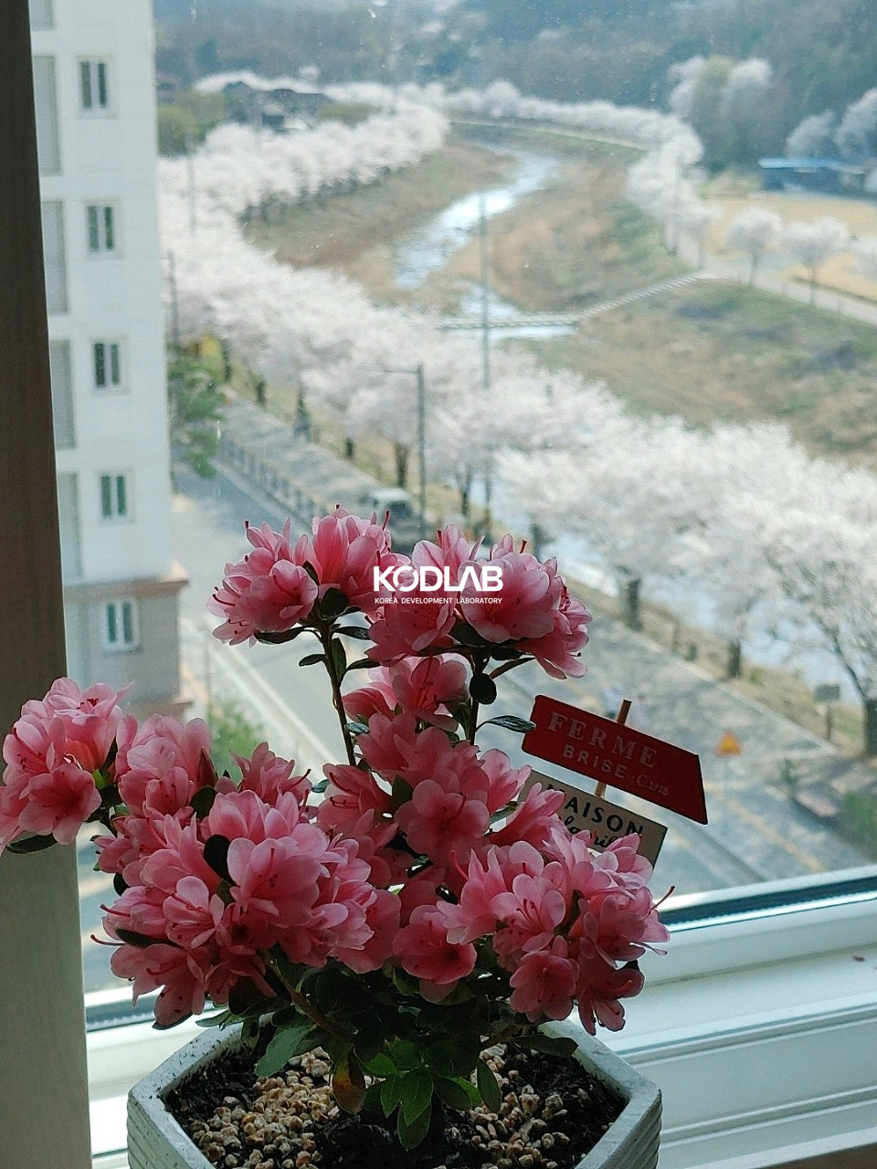 경기 양평군 용문면 다문리 용문역 도보 10분거리 위치한 용문 코아루 매매 매매 매물번호 10751 사진 27