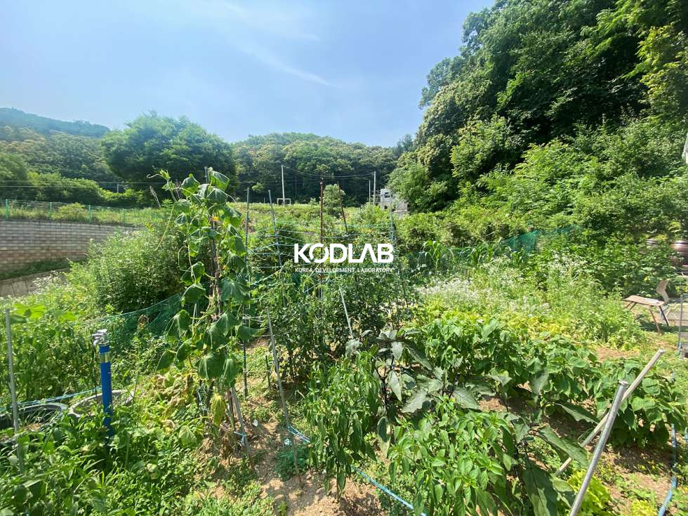 경기 양평군 강하면 왕창리 강하면 전원주택, 국유지 도로와 접해있고 실사용면적은 더 넓은 주택임 매매 매물번호 11719 사진 2