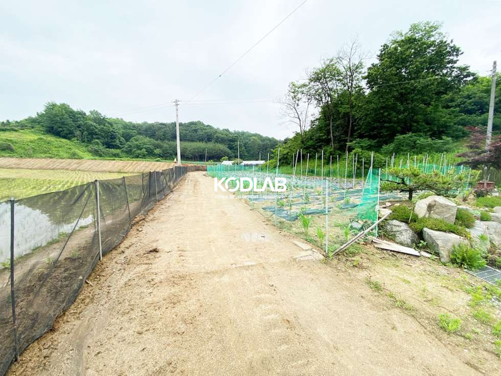 경기 양평군 양평읍 창대리 창대리 인근 아파트, 타운하우스 있는 큰 평수 상가건물 임대 월세 매물번호 11743 사진 6