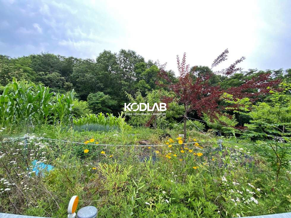경기 양평군 양서면 부용리 양서면 부용리 평당 100만원 2차선 도로 접한 토지 매매 매물번호 11750 사진 11