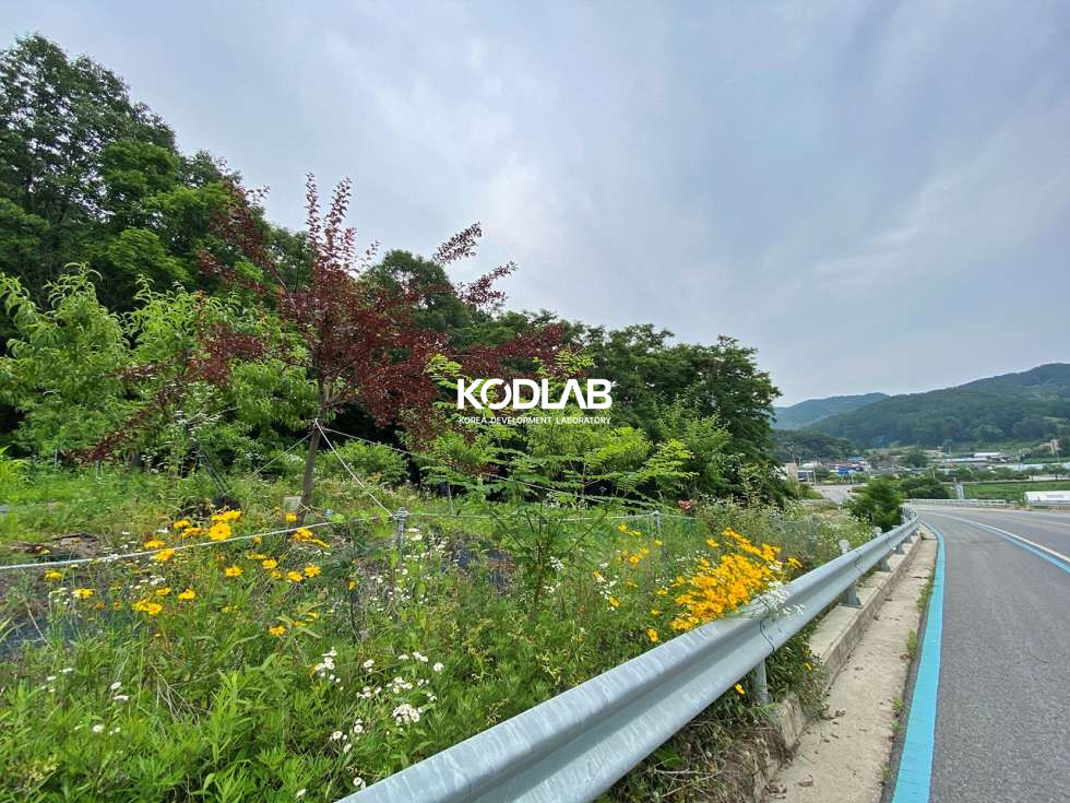 경기 양평군 양서면 부용리 양서면 부용리 평당 100만원 2차선 도로 접한 토지 매매 매물번호 11750 사진 12