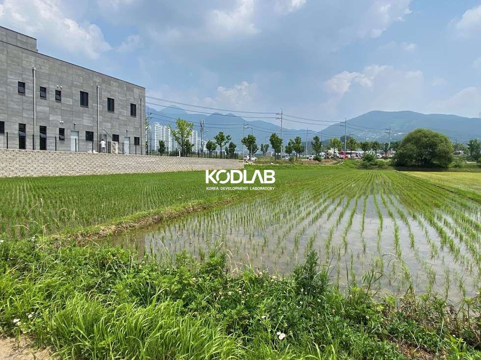 경기 양평군 양평읍 도곡리 양평읍 2차선 도로 근거리 위치한 논으로 이용중인 토지, 국유지 접함 매매 매물번호 11751 사진 8