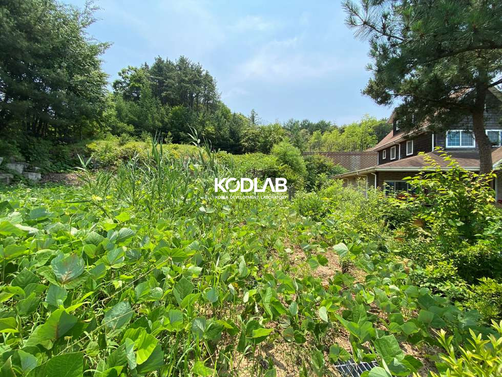 경기 양평군 강하면 왕창리 토목공사가 되어있는 남한강 조망권 전원주택지 매매 매물번호 11752 사진 4