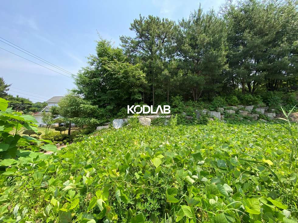 경기 양평군 강하면 왕창리 토목공사가 되어있는 남한강 조망권 전원주택지 매매 매물번호 11752 사진 6
