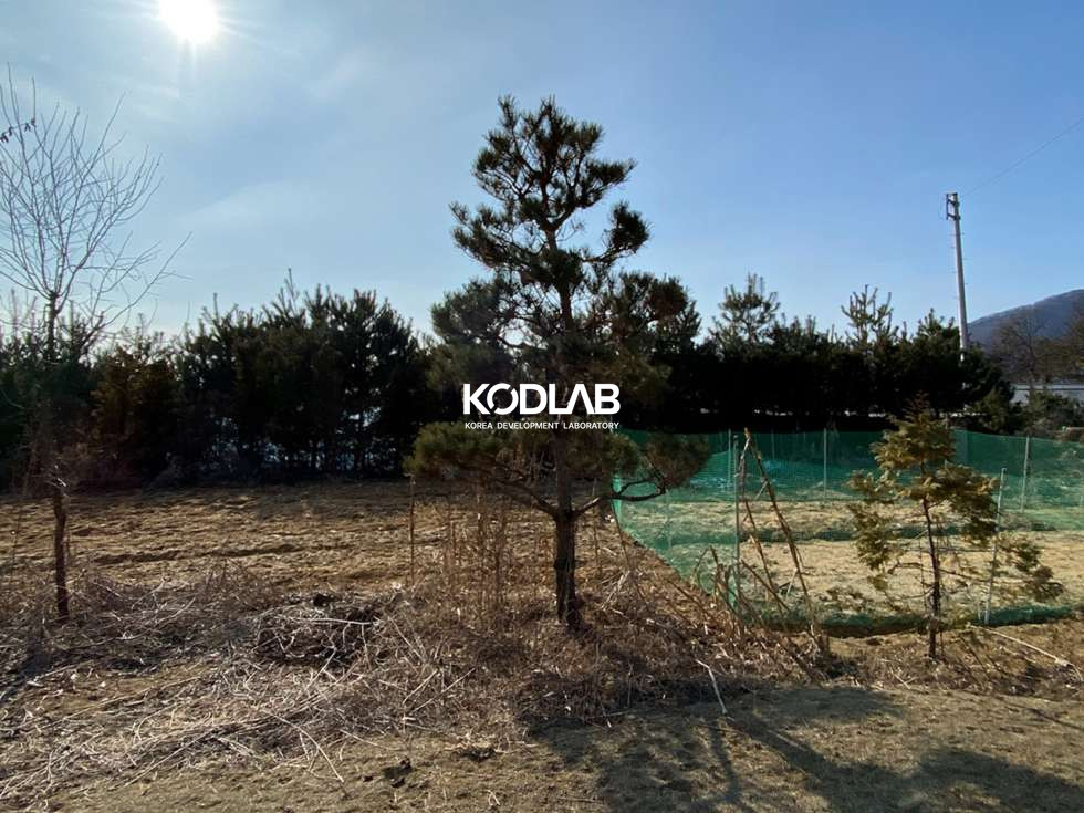 경기 양평군 양평읍 오빈리 도심과 인접한 숲세권 오빈리 전원주택지 매매 매물번호 10413 사진 8