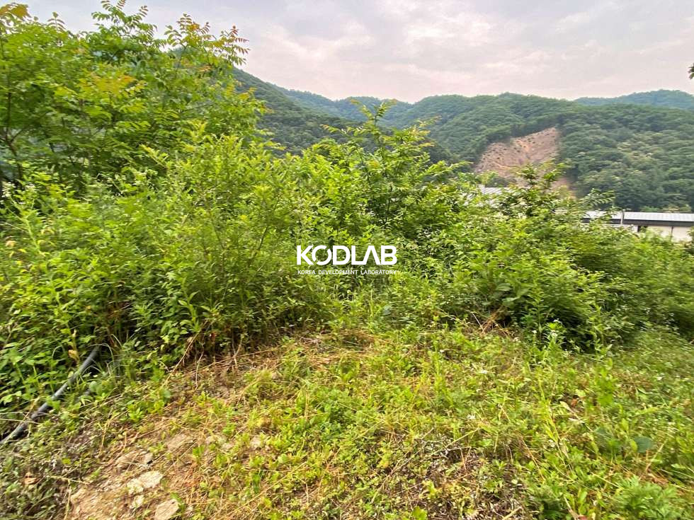 경기 양평군 양서면 증동리 건축허가 받아져 있는 마을 상단부 위치한 전망좋은 토지 매매 매물번호 11755 사진 14