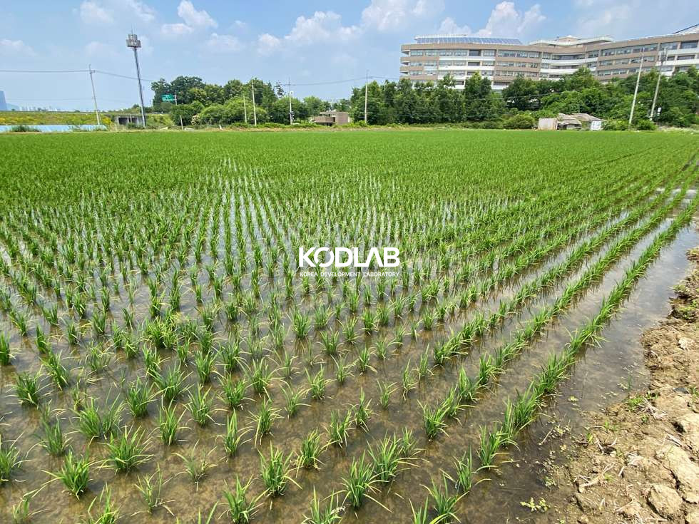 경기 양평군 양평읍 도곡리 도곡리 국유지 도로 접한 분할매매 가능한 토지 매매 매물번호 11757 사진 17