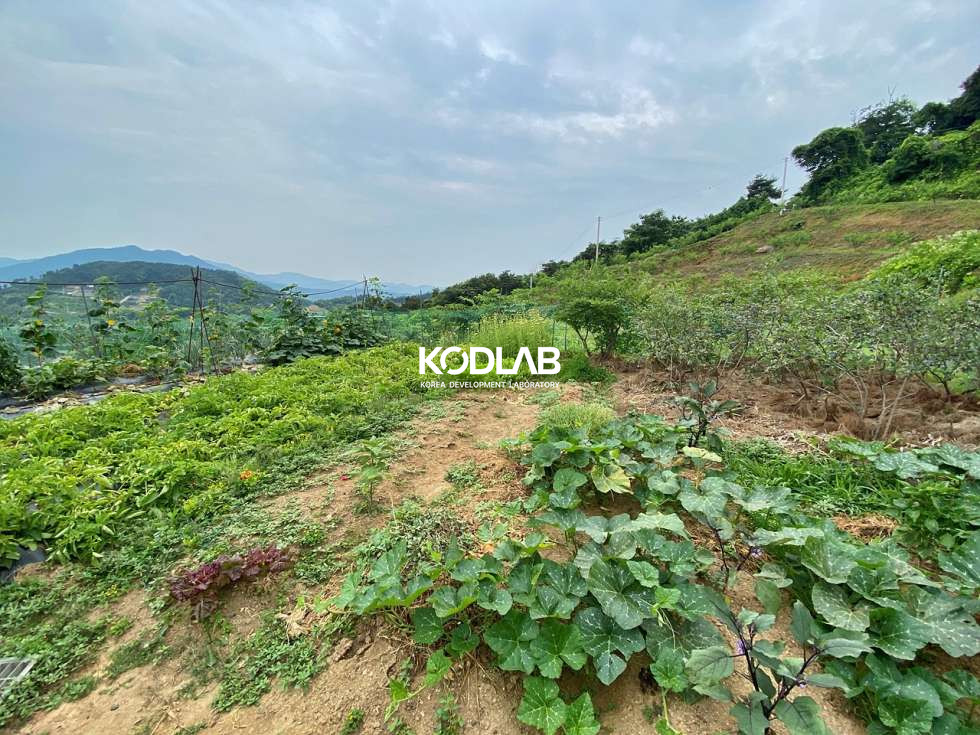 경기 양평군 옥천면 아신리 옥천면 생활권, 아신리 진출입 용이한 토지 넓은 전원주택 매매 매물번호 11721 사진 5