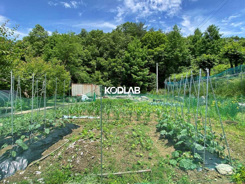 경기 양평군 양서면 양수리 세컨하우스 소형주택 찾으시는 분들 주목! 핫한 양수리 토지는 크고 소형주택 매매 매물번호 11595 사진 7