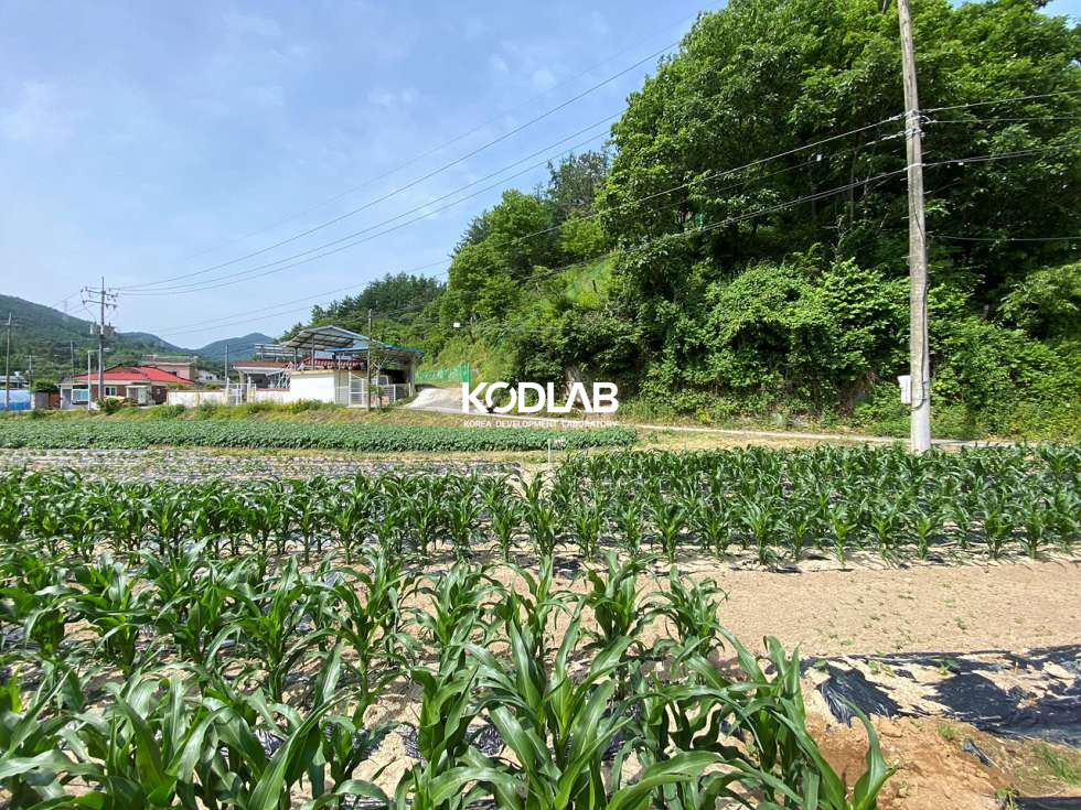 경기 양평군 지평면 무왕리 석불역 역세권 지방도와 가까워 진출입이 용이한 지평면 토지 매매 매물번호 11589 사진 5