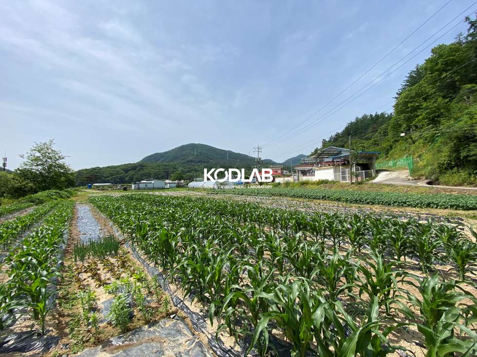 경기 양평군 지평면 무왕리 석불역 역세권 지방도와 가까워 진출입이 용이한 지평면 토지 매매 매물번호 11589 사진 6