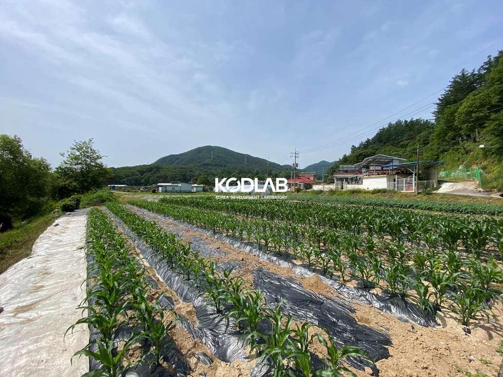 경기 양평군 지평면 무왕리 석불역 역세권 지방도와 가까워 진출입이 용이한 지평면 토지 매매 매물번호 11589 사진 9