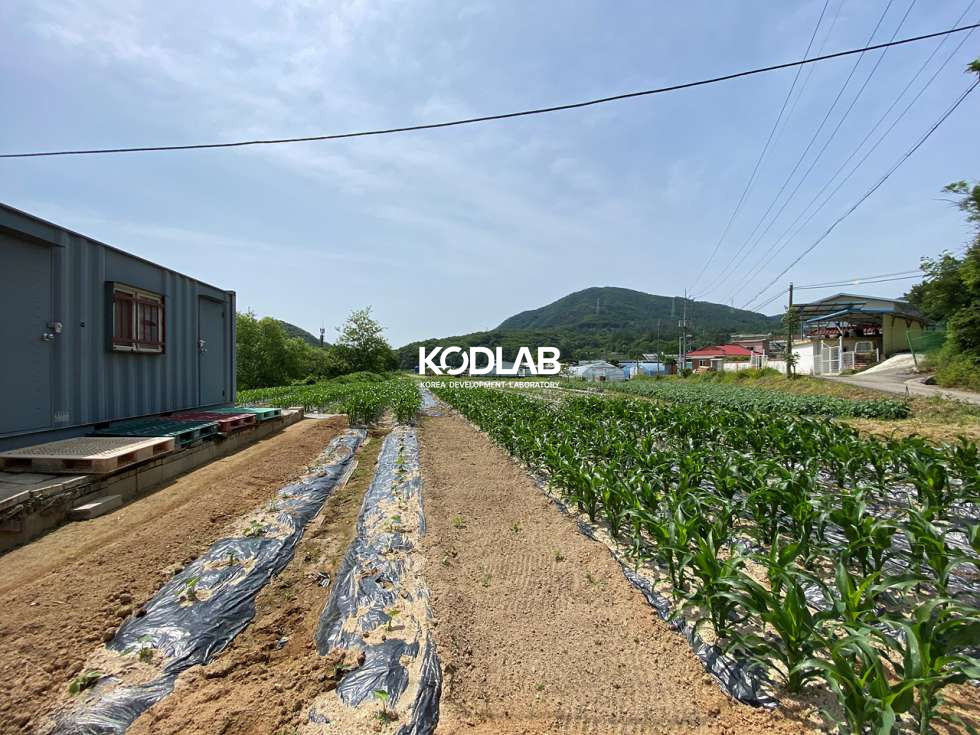 경기 양평군 지평면 무왕리 석불역 역세권 지방도와 가까워 진출입이 용이한 지평면 토지 매매 매물번호 11589 사진 12