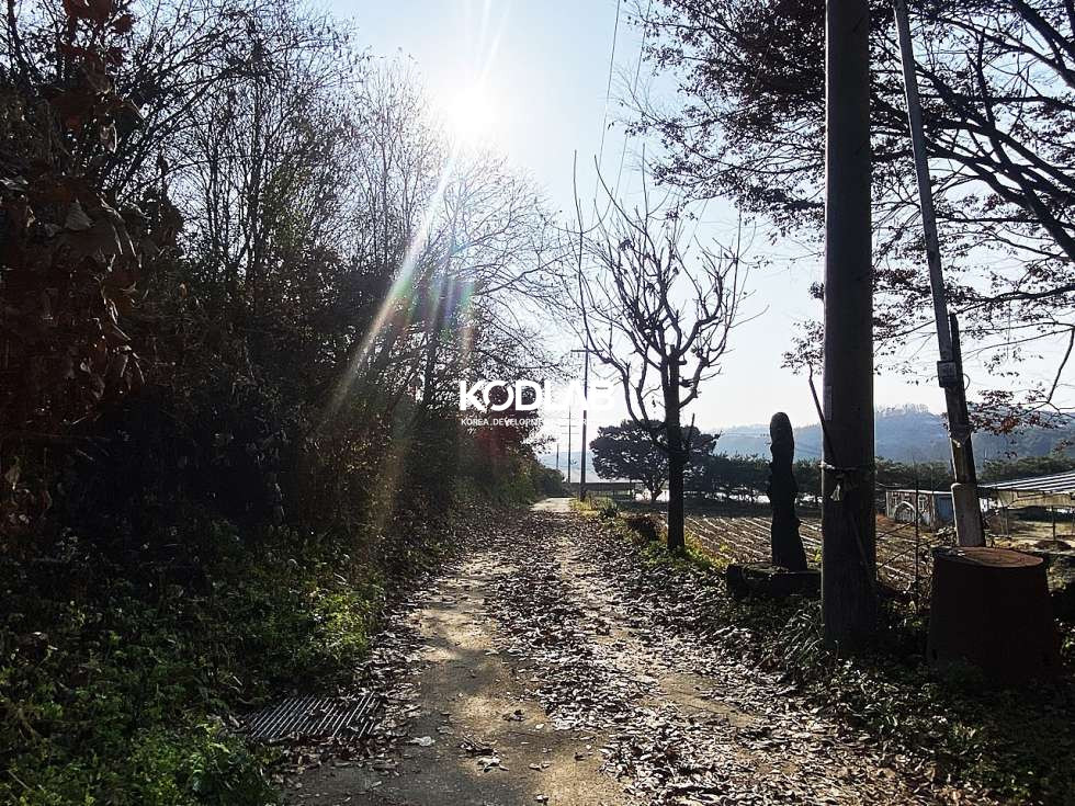 경기 양평군 지평면 옥현리 지평 평당36만원 계획관리지역 넓은 토지 매매 매물번호 11661 사진 5