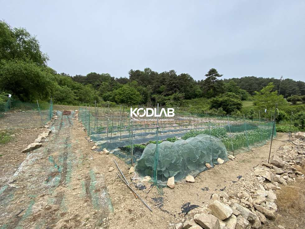 경기 여주시 대신면 무촌리 대신면 생활권에서 가까운 농사 지을수 있는 단독주택 매매 매물번호 11550 사진 10