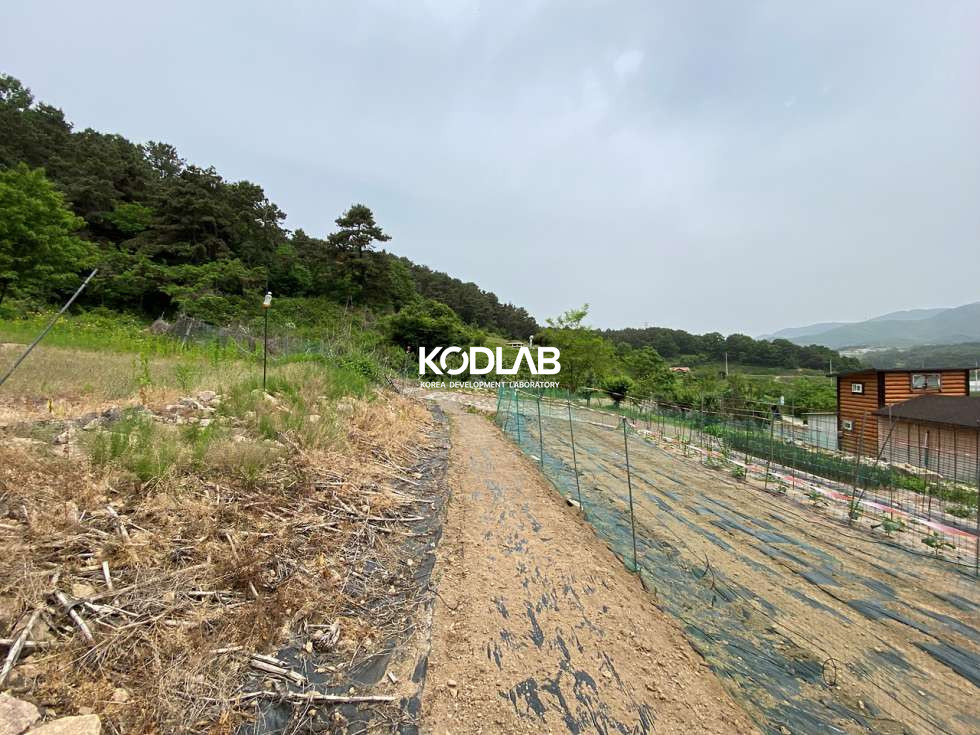 경기 여주시 대신면 무촌리 대신면 생활권에서 가까운 농사 지을수 있는 단독주택 매매 매물번호 11550 사진 14