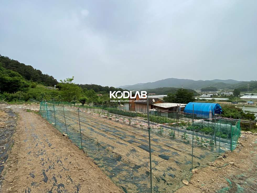 경기 여주시 대신면 무촌리 대신면 생활권에서 가까운 농사 지을수 있는 단독주택 매매 매물번호 11550 사진 16