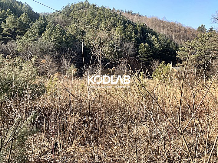 경기 양평군 양동면 금왕리 남향에 지방도로가 가까워 진출입이 용이한 양동면 토지 매매 매물번호 11574 사진 1