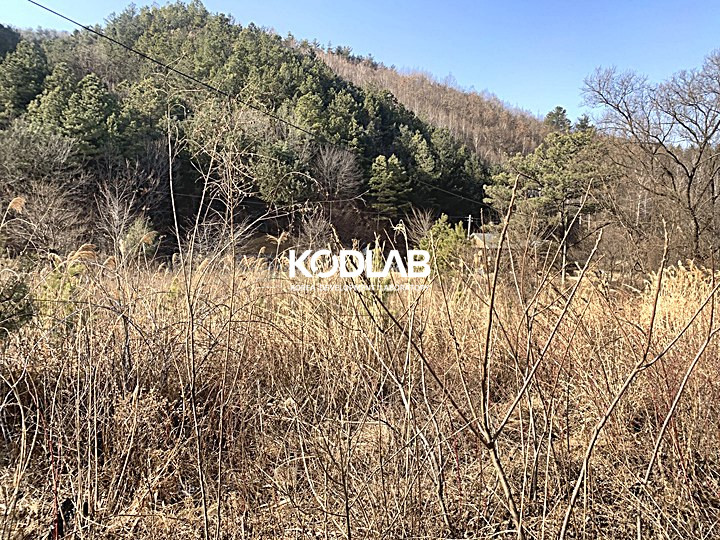 경기 양평군 양동면 금왕리 남향에 지방도로가 가까워 진출입이 용이한 양동면 토지 매매 매물번호 11574 사진 2