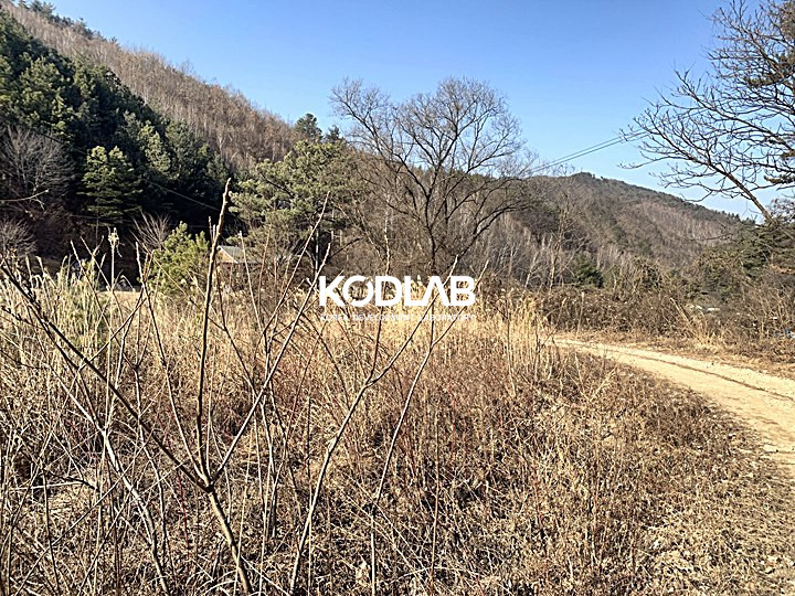 경기 양평군 양동면 금왕리 남향에 지방도로가 가까워 진출입이 용이한 양동면 토지 매매 매물번호 11574 사진 5